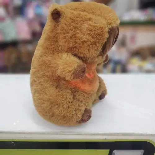 Capybara que respira's photo #2